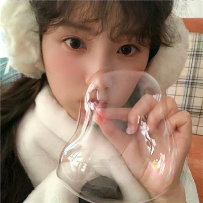 与森林共舞